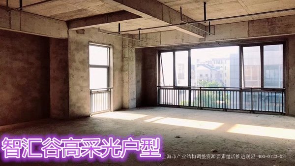 CF002 嘉定 歆翱智汇谷 汇旺东路 嘉定北开发区 研发商务办公展示楼出租  100平起租 