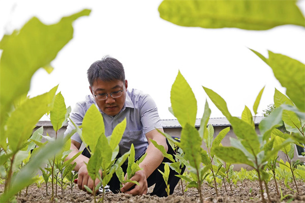 高质量发展看中国｜江苏泗洪：产业思维赋能百业一泓碧水只此青绿